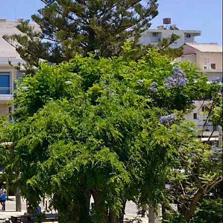 Greenview Chania Center Luxury * Chania (Crete)