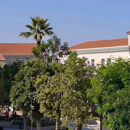 Greenview Chania Center Luxury *