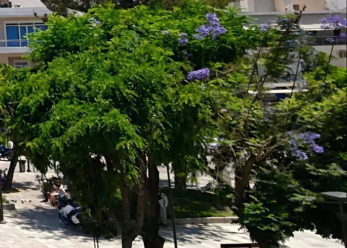 Greenview Chania Center Luxury *