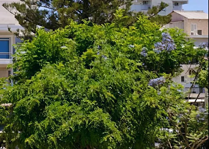 Greenview Chania Center Luxury * Chania (Crete)